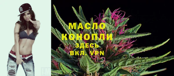 соль ск Алексин